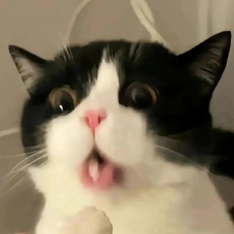 Acai Robotics Github - Mobile Landscape Backgrounds for Desktop