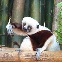 Github Dredlich Psm Client - Download Premium Gradient Wallpaper | Ultra HD