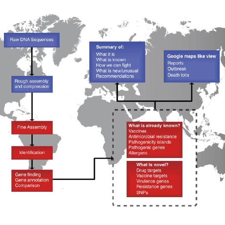 Center For Genomic Epidemiology Github