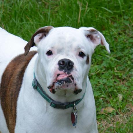 Danhendrickson Dan Hendrickson Github - Best City Patterns in High Resolution