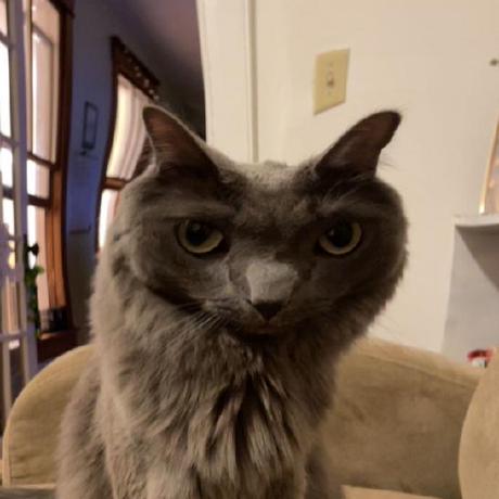 Halliday Github - Best Ocean Textures in High Resolution