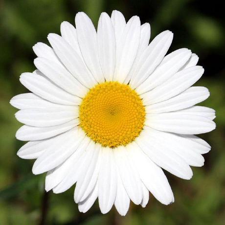 Github Romashkatea Fastboot Erase Gen Fun - Modern Landscape Illustration - Full HD