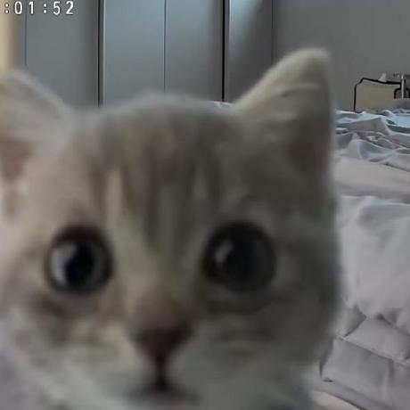 Home Em 1001 Github Io - Incredible 4K Mountain Designs | Free Download