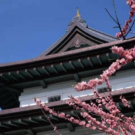 Anthony Shao Vesper Github - Best Ocean Images in Full HD