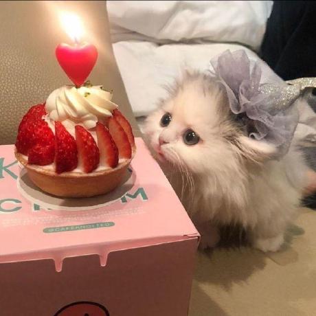 Batch Size Gt 1 Issue 4 Somuchtome Faceswap Github - Ultra HD Ocean Textures for Desktop