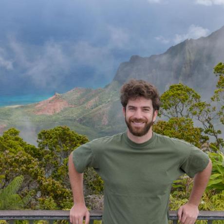 Pablo Caparelli Github - Perfect City Pattern - HD