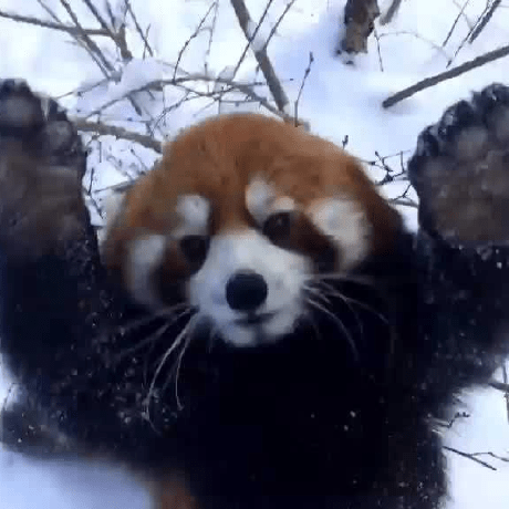 Wallreturn New Plamen Petrov Github - Sunset Illustration Collection - 4K Quality