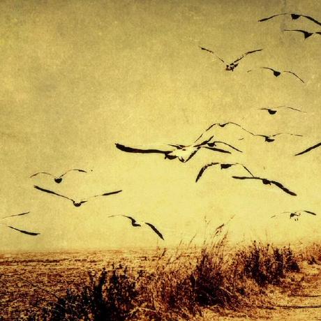 Hongtao Shi Github - Download Perfect Colorful Wallpaper | Ultra HD