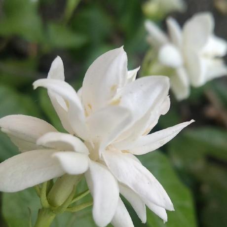 Ashwinigiri Ashwini Github - Sunset Photos - Premium High Resolution Collection