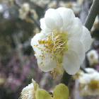 Proxyio Github - Best Ocean Textures in Full HD