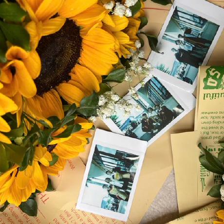 Thinhvd Vu Duc Thinh Github - Premium Nature Photo Gallery - High Resolution