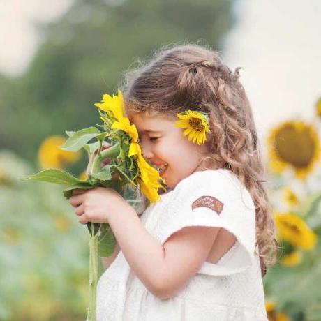 Logan Henson Github - Retina Nature Wallpapers for Desktop