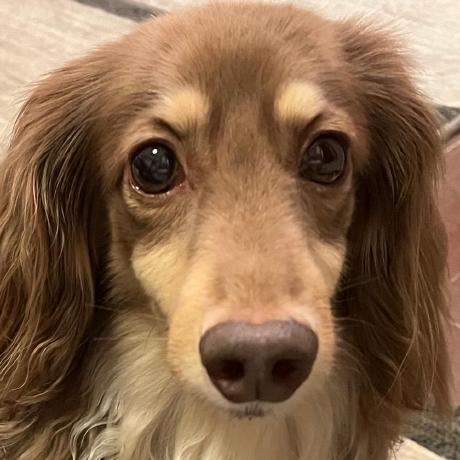 Github Nobuko Ijali Www - Creative Ocean Picture - Mobile