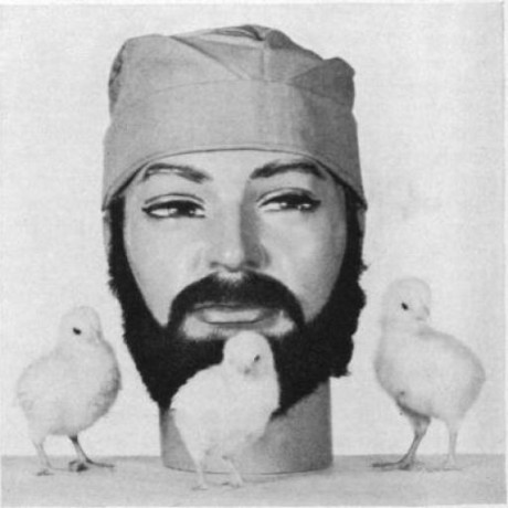 Github Jinyizju U Phylomaker A New R Package - Best Space Backgrounds in Mobile