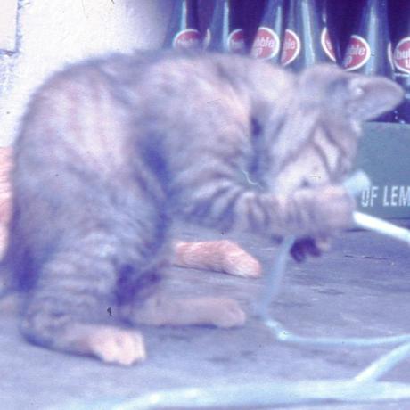 Github Retiredfeline Qx Mini51 Sdcc Qx Mini51 Sample Programs For Sdcc - Stunning Abstract Texture - 4K