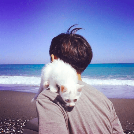 Github Kai 0419 Prac Method - Minimal Textures - Stunning 4K Collection