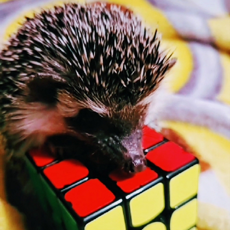 Github Souldameep Platformdisplay - Best Colorful Images in Full HD