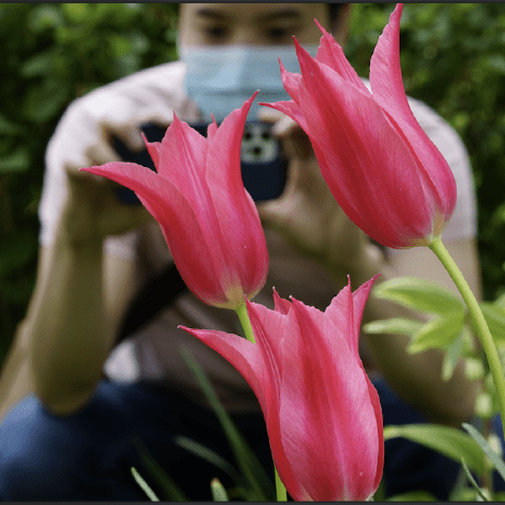 Liulyndon Lyndon Github - Perfect Vintage Image - Desktop