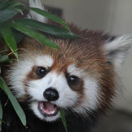 Cokkum113 Stormi Github - Modern Sunset Photo - 8K