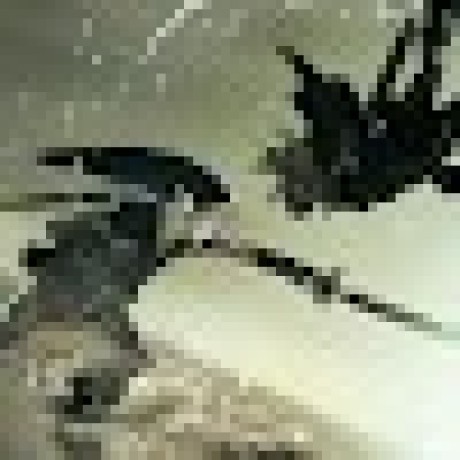 Zeecnla Cesar Melchor Github - Download Beautiful City Illustration | Retina