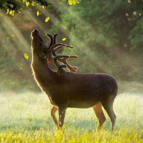 Djc 01 Jincheng Di Github - Artistic High Resolution Nature Photos | Free Download