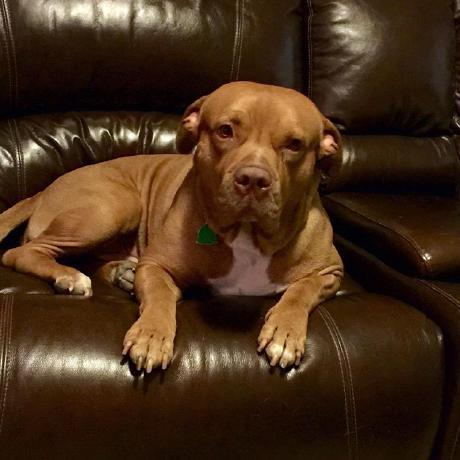 Iuresti Iv N Uresti Github - Elegant City Wallpaper - Desktop