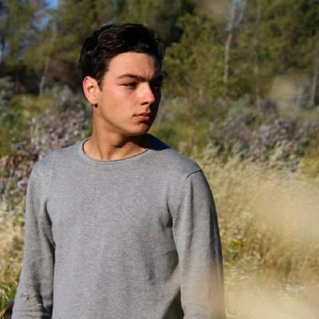 Dome Vasco Github - Premium Nature Art Gallery - High Resolution