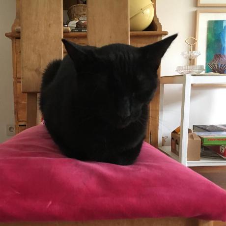 Modern Fullbright Minecraft Mod - Best Ocean Images in 8K