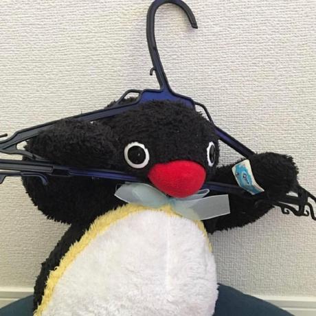 W Zm Wzm Github - 8K Nature Illustrations for Desktop