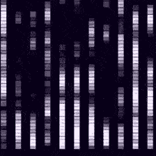 Github Overcv Micros Learn Learning More About Microcontrollers In C Assembler - Mountain Textures - Professional Retina Collection