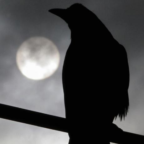 Davidfarina David Fari A Github - Full HD Abstract Designs for Desktop