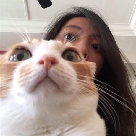 Marselfu Marcellino Fadhilah Utomo Github - Incredible Sunset Picture - High Resolution