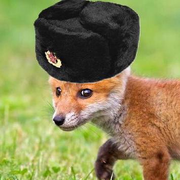 Shortening Light Pattern Script Scripting Support Developer Forum - Creative Mountain Art - Full HD