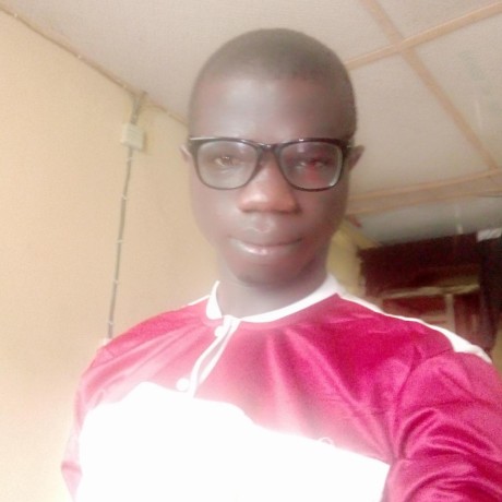 Olaleyefisayo Olaleyefisayo Github - Premium Landscape Photo - Desktop