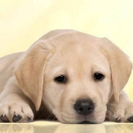 Cao Ya Han Github - Premium Ocean Art - Retina