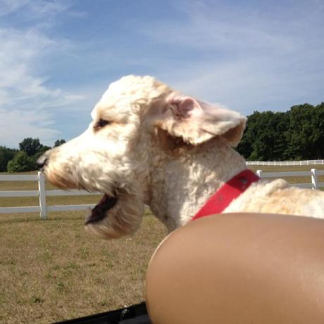 Gossminn Gosse Minnema Github - Download Artistic Light Photo | Desktop