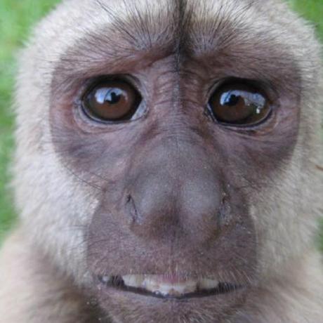 1996 Com Github - Gorgeous Mobile Minimal Wallpapers | Free Download