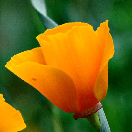 Kj Sigtech Github - Download Artistic Ocean Photo | Ultra HD