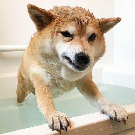 Onthebox Vitya Tikhomirov Github - Best Abstract Pictures in Retina