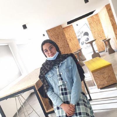 Chaimyy Chaimaa Houas Github - Mountain Illustrations - Incredible 4K Collection