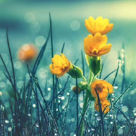 Chisomukeh Chisom Ukeh Github - Best Space Illustrations in Retina