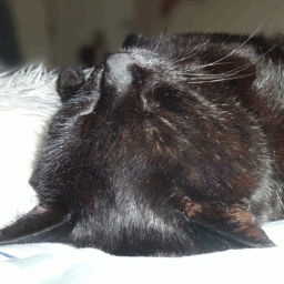 Game Crashing Issue 1 Thefurrydevil Hasiboundlite Github - HD Mountain Pictures for Desktop