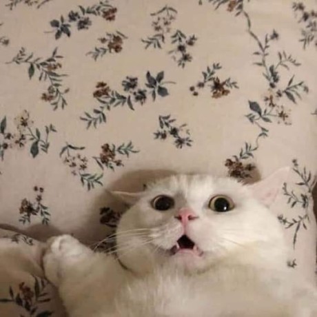 Imloki03 Nguyen Van Thi Github - 8K Dark Designs for Desktop