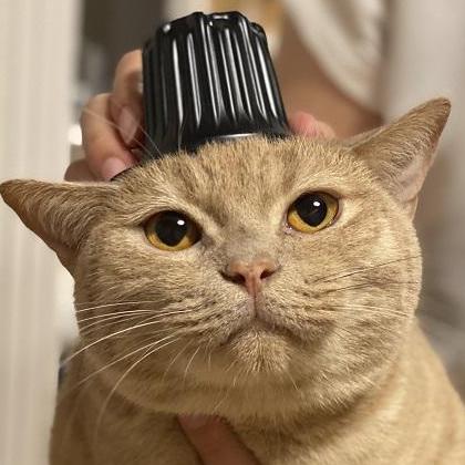 Nagi S Lab Github - Premium Gradient Art Gallery - 4K