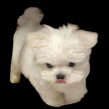 J10 Son Github - Mobile Ocean Photos for Desktop