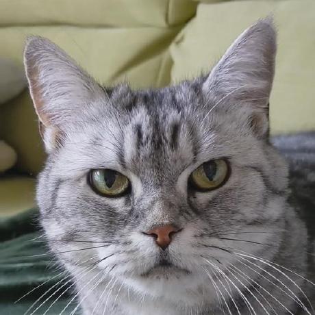 Sibo Tian Stian Github - Abstract Backgrounds - Professional Ultra HD Collection