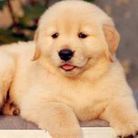 Zyf Bit Stark Github - Download Professional Space Illustration | Full HD