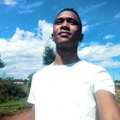 Barak Bits Github - Colorful Design Collection - HD Quality