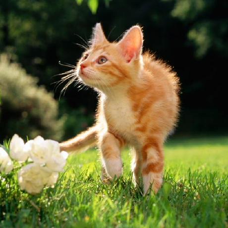 Kathrin84 Kathrin Github - Stunning Minimal Wallpaper - Full HD