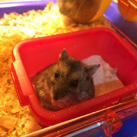 Benji1123 Ben Li Github - Classic HD Minimal Backgrounds | Free Download